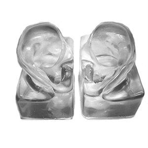 Demonstration Ears - Clear, Hard Silicone (pair)