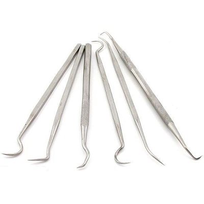 Dental Picks (6 / pack)