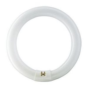 Circline 22W Fluorescent Bulb - Cool White