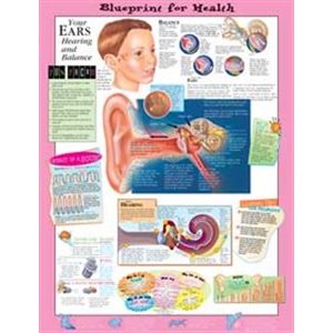 Your Ears, flexible laminated poster for children (20x26)